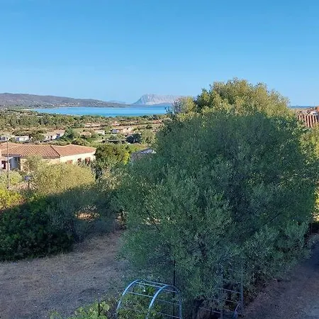 La Casa Di Annita * Tanaunella