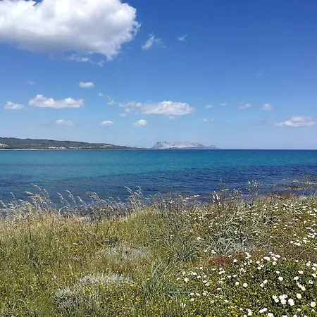 La Casa Di Annita * Tanaunella