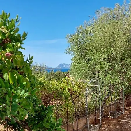 Lejlighed La Casa Di Annita Tanaunella