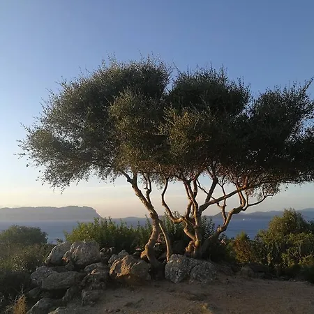 La Casa Di Annita Lejlighed Tanaunella